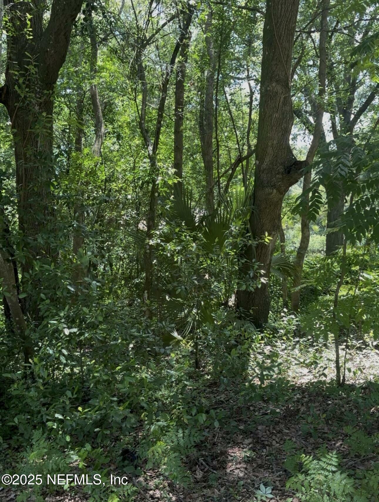 Property Photo: 0 Powell Street FL 32177