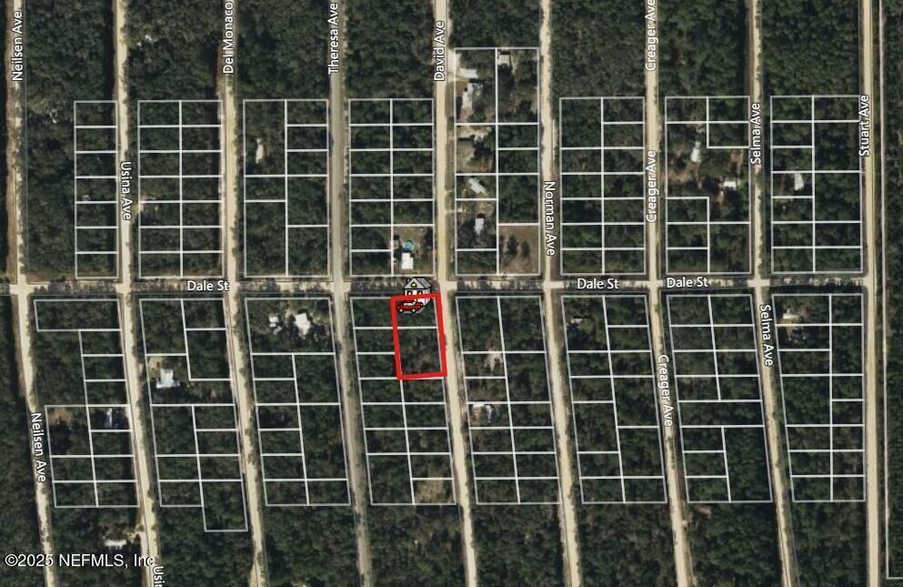 Property Photo: 0 David Avenue FL 32148
