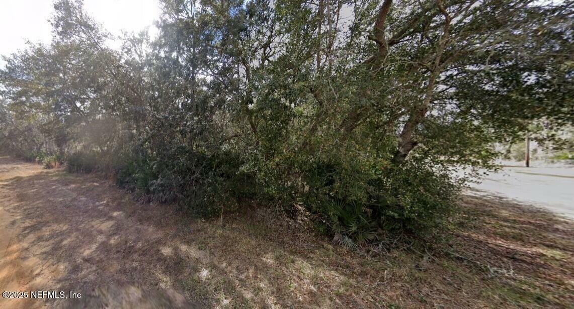 Property Photo: 0 David Avenue FL 32148