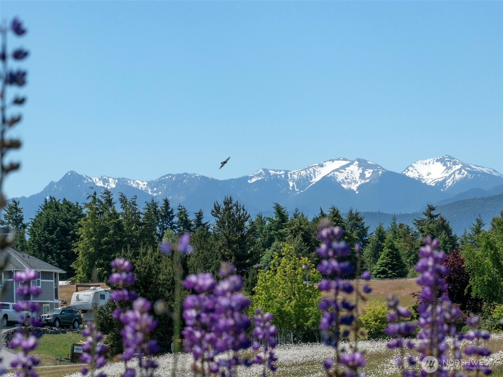 Property Photo: 206 Buckhorn WA 98382