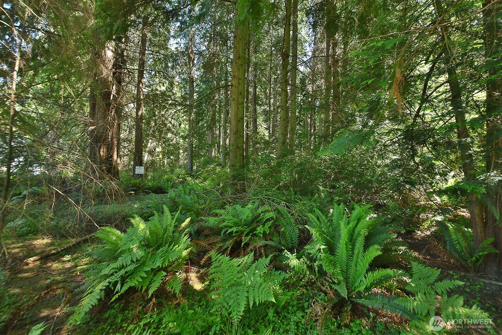 0 Xxx  East Harbor Road  Freeland WA 98249 photo