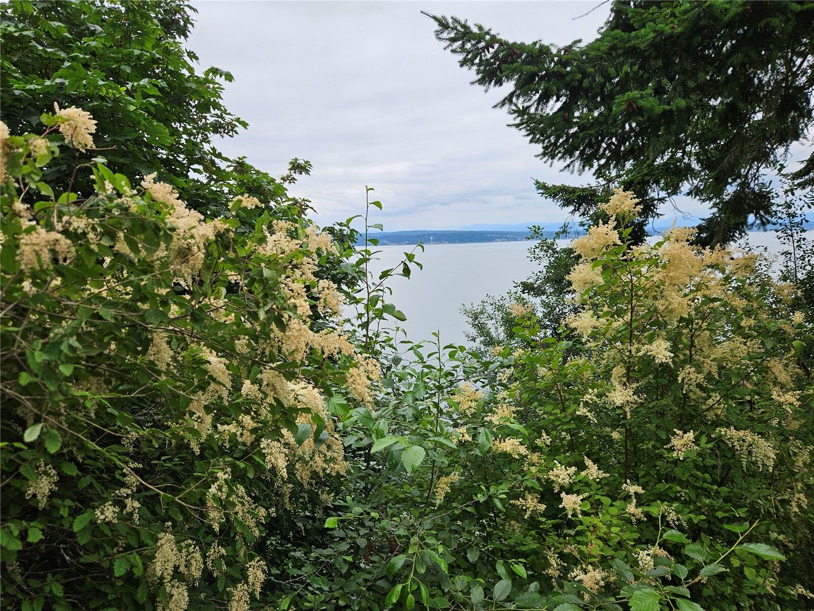 Property Photo:  37 K  Beach Way  WA 98206 