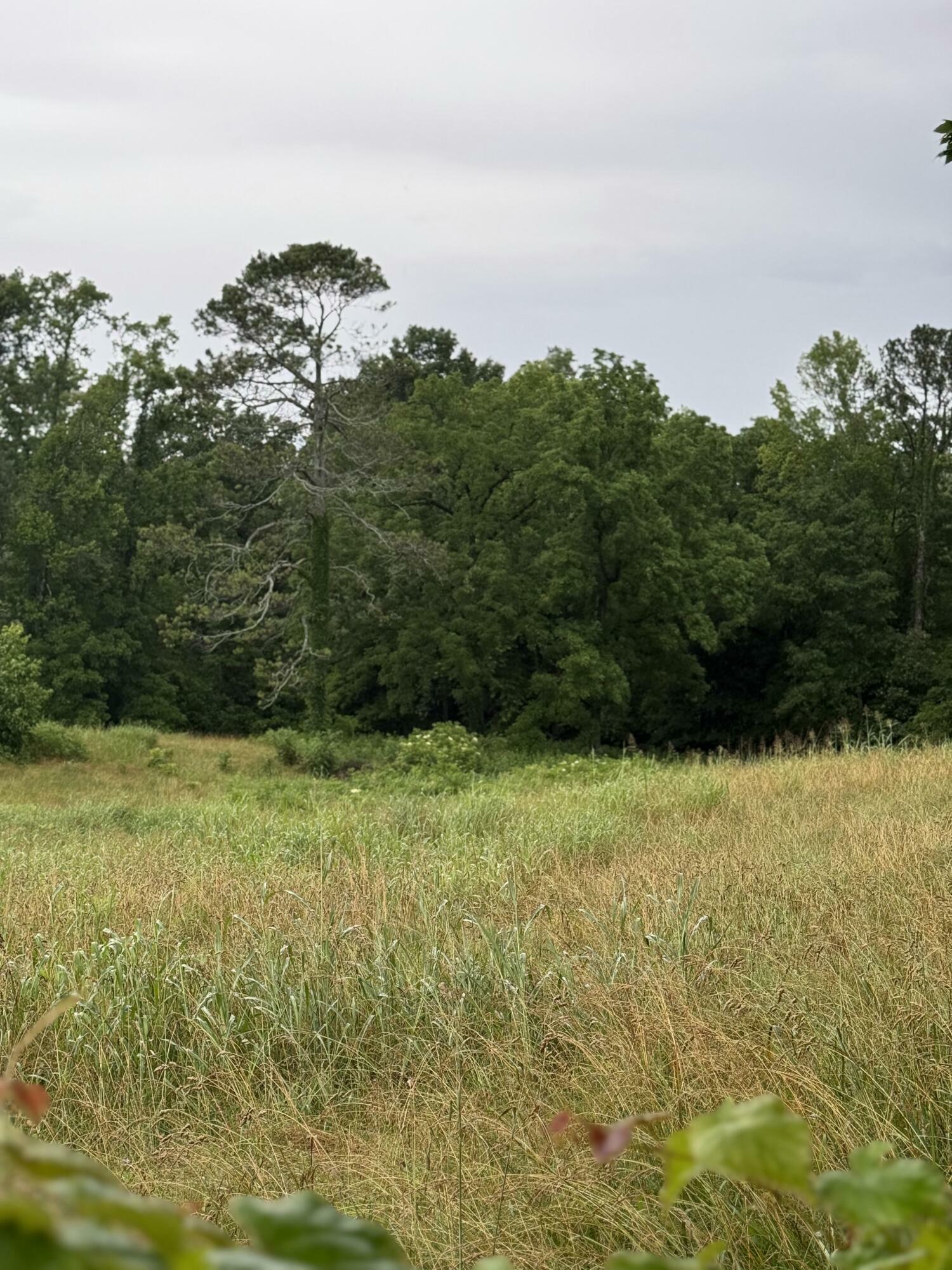 Property Photo: Lot 2, 179 Teague Road TN 37311