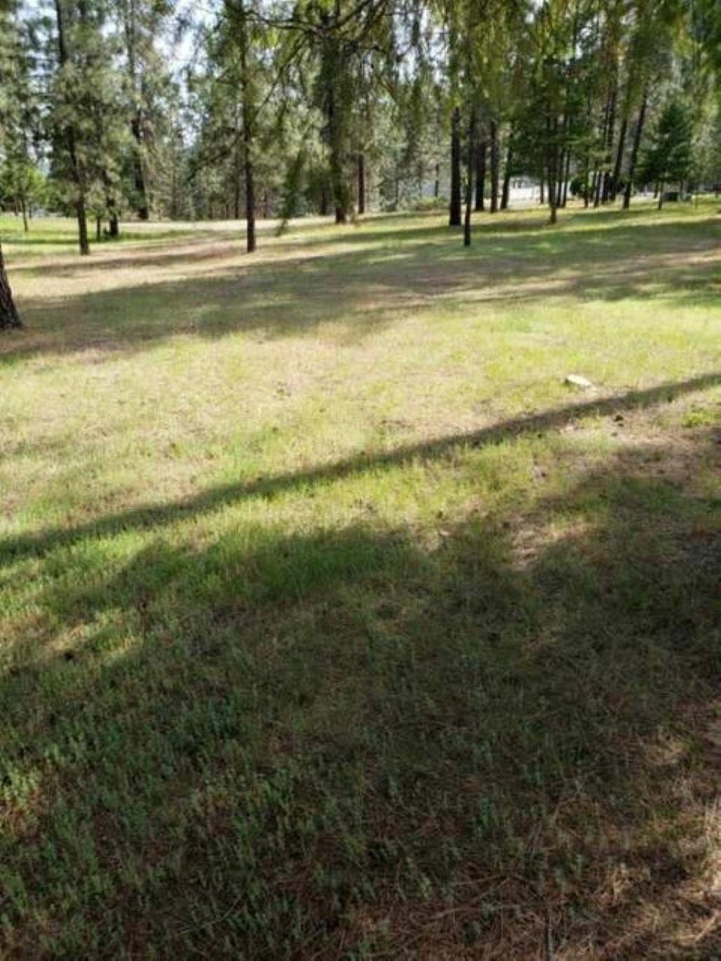 Property Photo: 256 Eagle Dr WA 99109