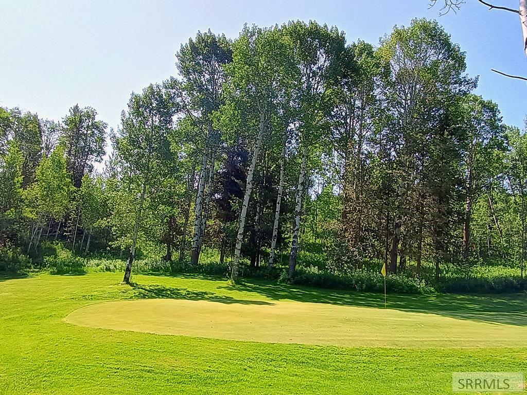 Property Photo: 1355 S Timberline Road ID 83420