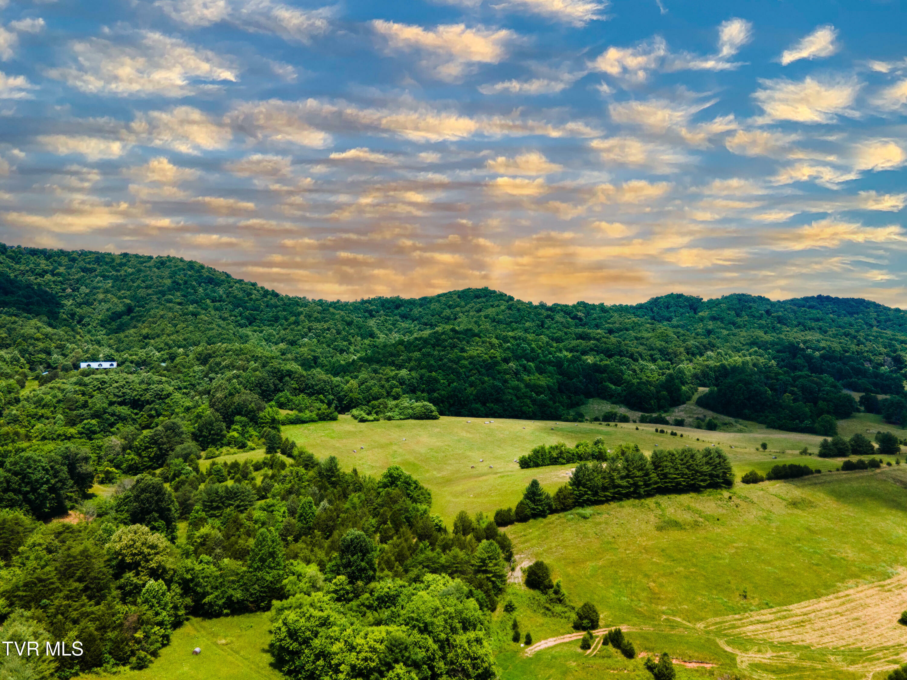 Property Photo: 592 Melinda Ferry Road TN 37857
