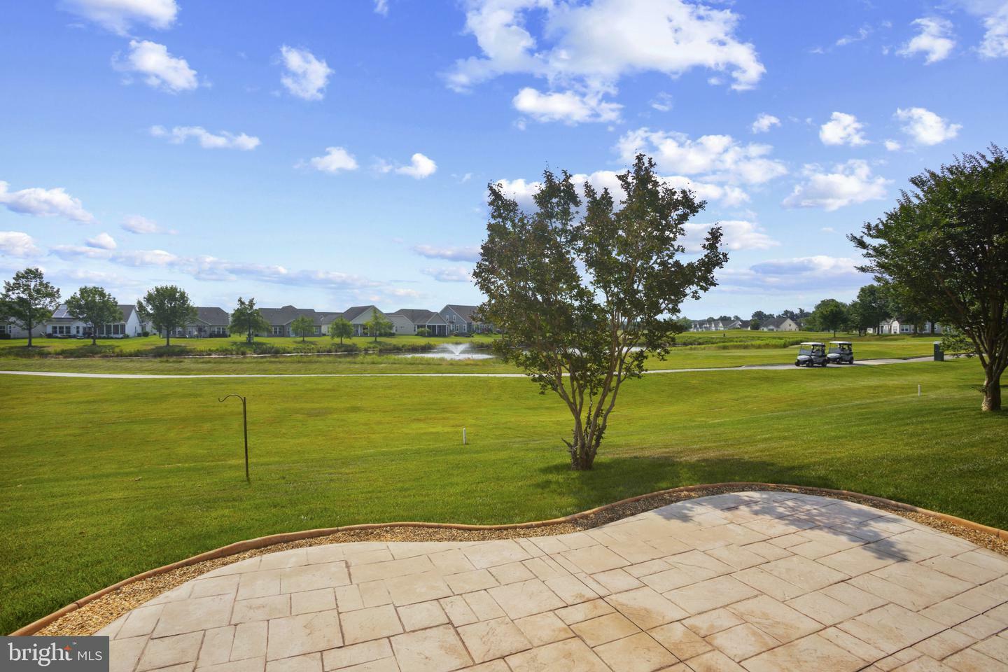 Property Photo: 66 Whistling Duck Drive DE 19933