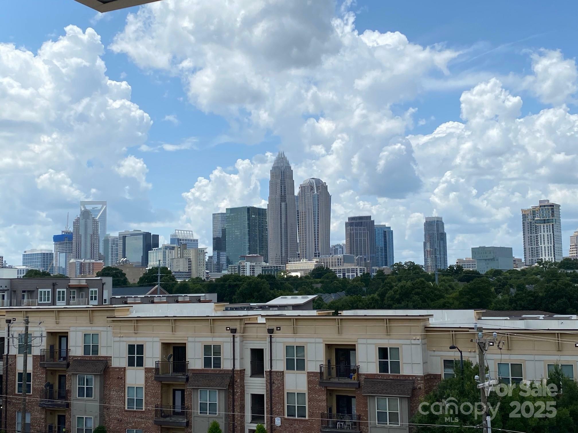 Property Photo: 12115 Brooklyn Avenue NC 28204