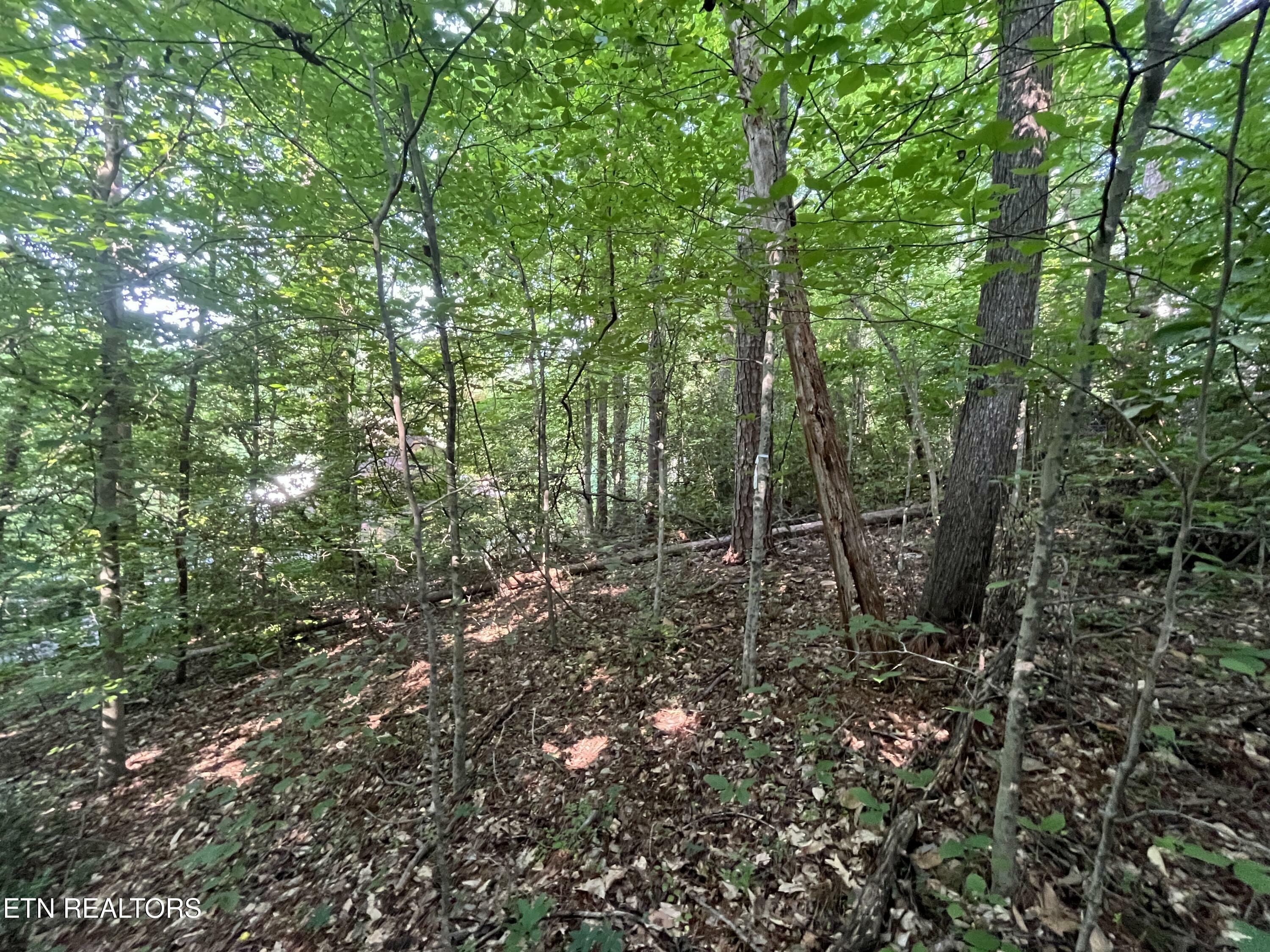 Property Photo: 2504 Craghead Lane TN 37920
