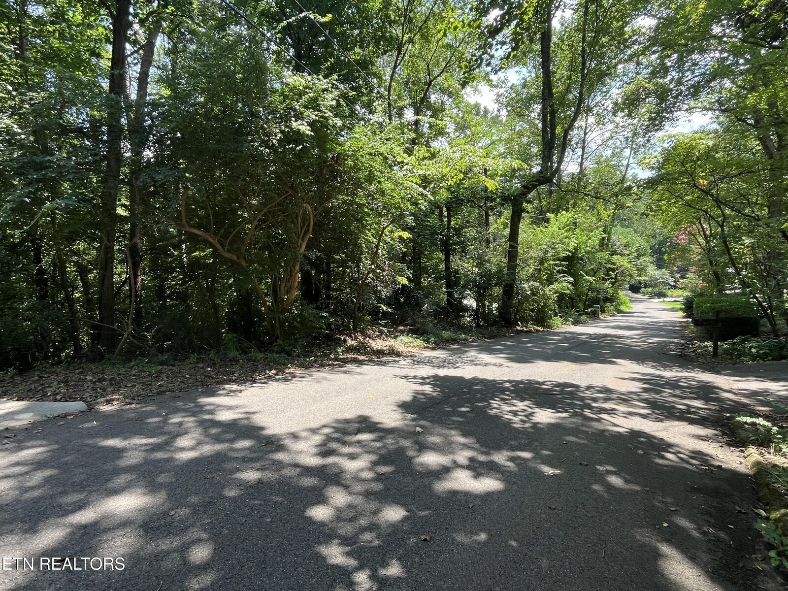 Property Photo:  2504 Craghead Lane  TN 37920 