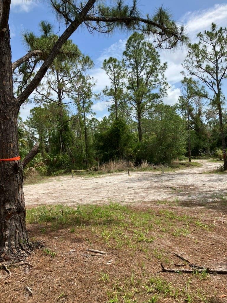 Property Photo: Blitzen Terrace FL 34287