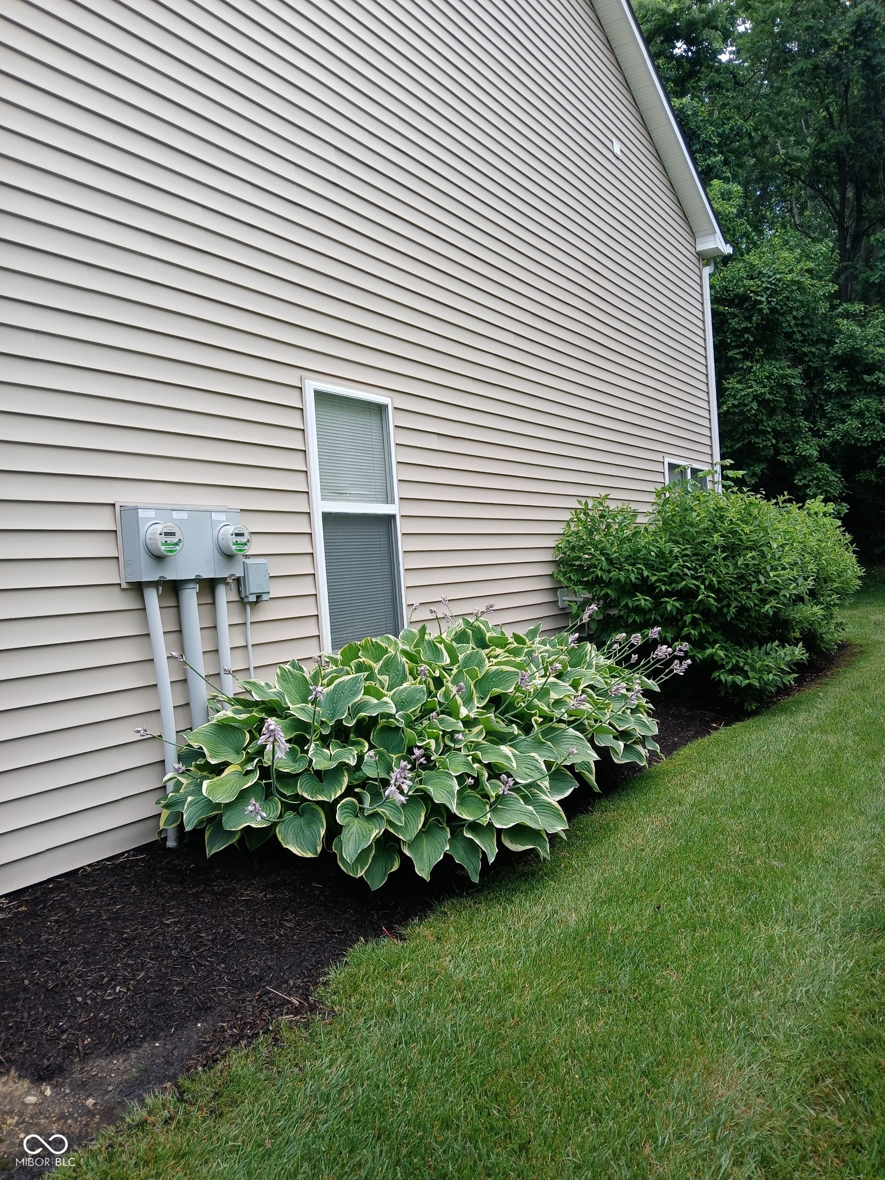 Property Photo: 8333 Pine Branch Lane IN 46234