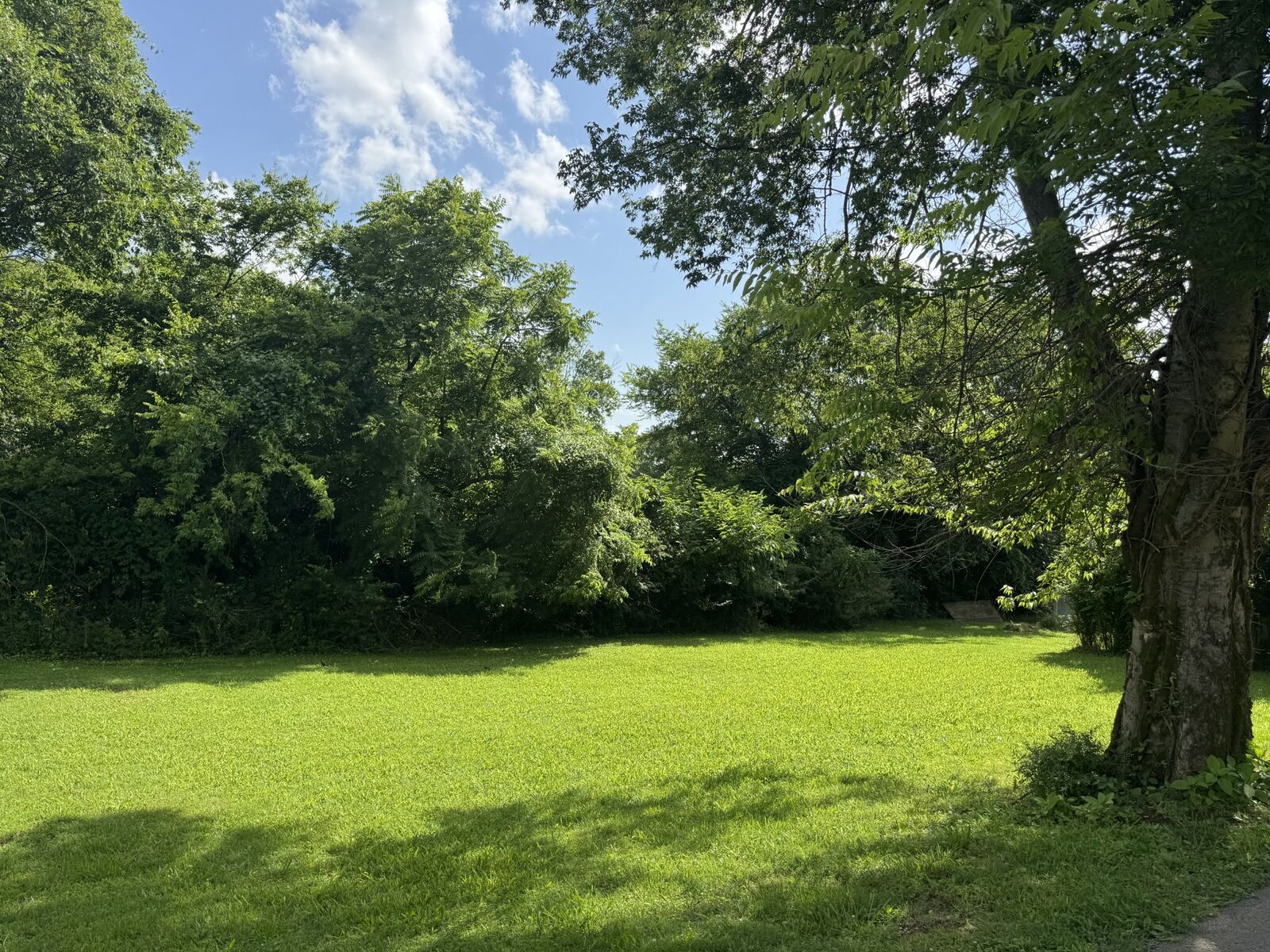 Property Photo: 115 Jones Dr TN 37072