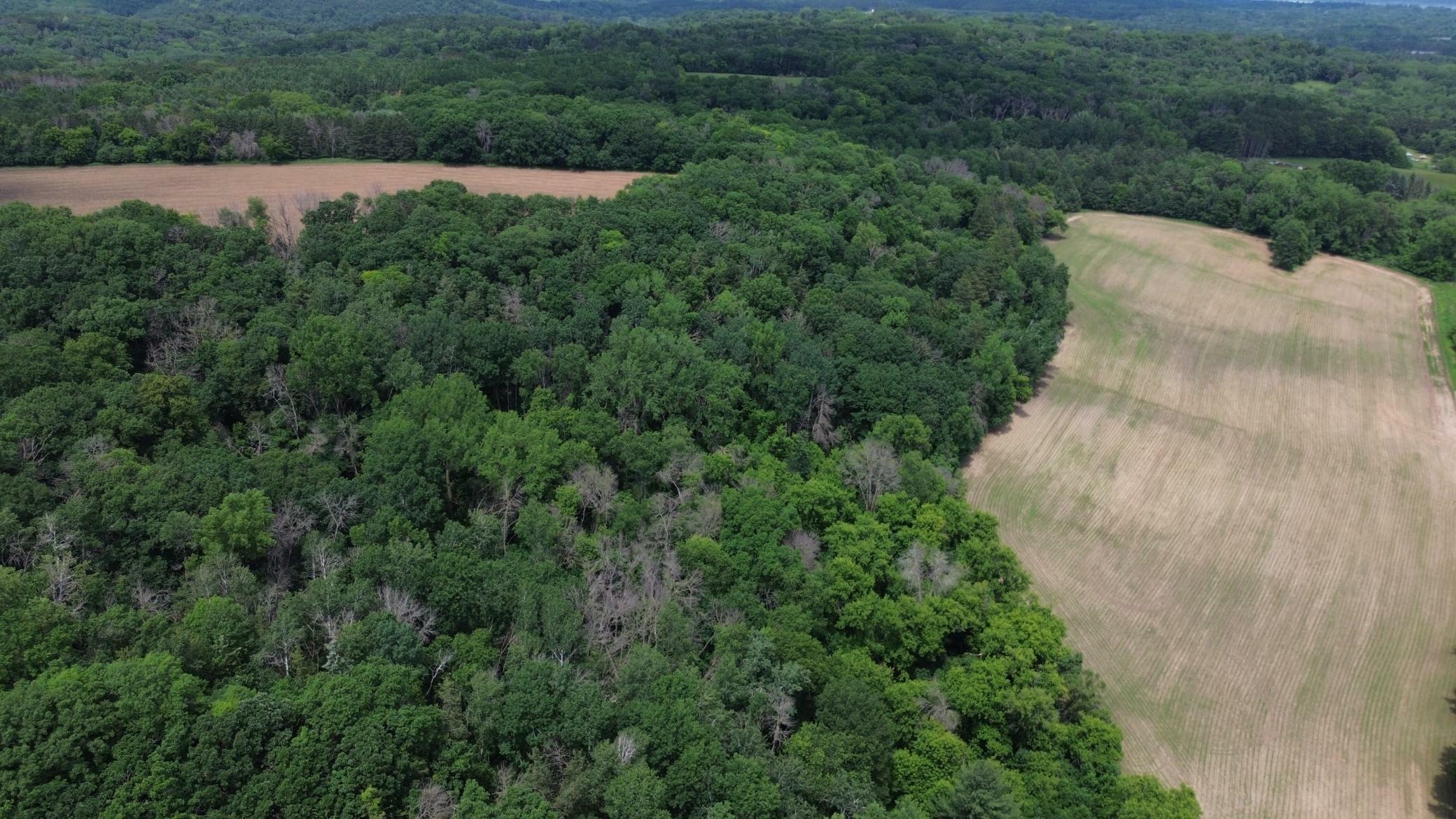 Property Photo: 15094 Afton Blvd MN 55001