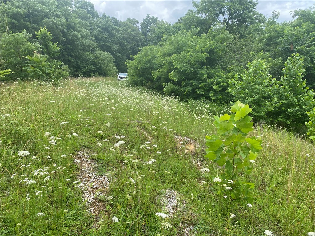 Property Photo:  1554 Nc 6020 Road  AR 72641 
