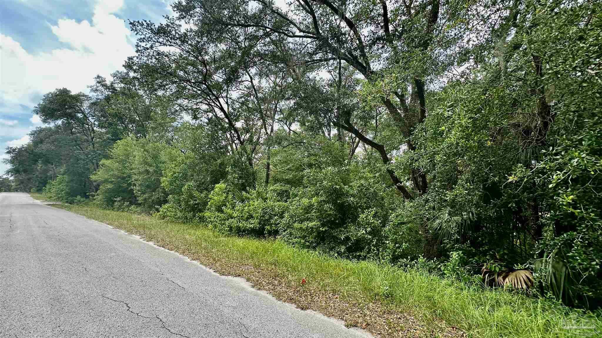 Property Photo: 0 Shorewood Dr FL 34431