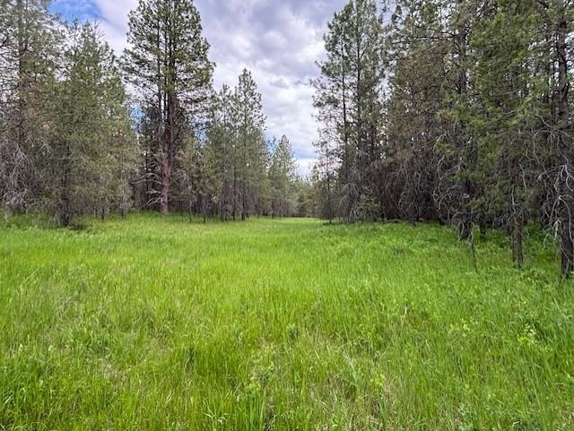 Property Photo:  43xx Lumberg Rd  WA 99173 