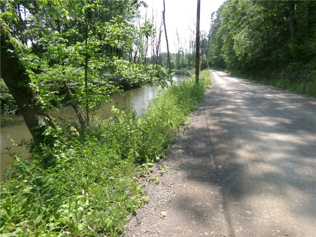 Property Photo: 0 Gridleyville Road NY 14883