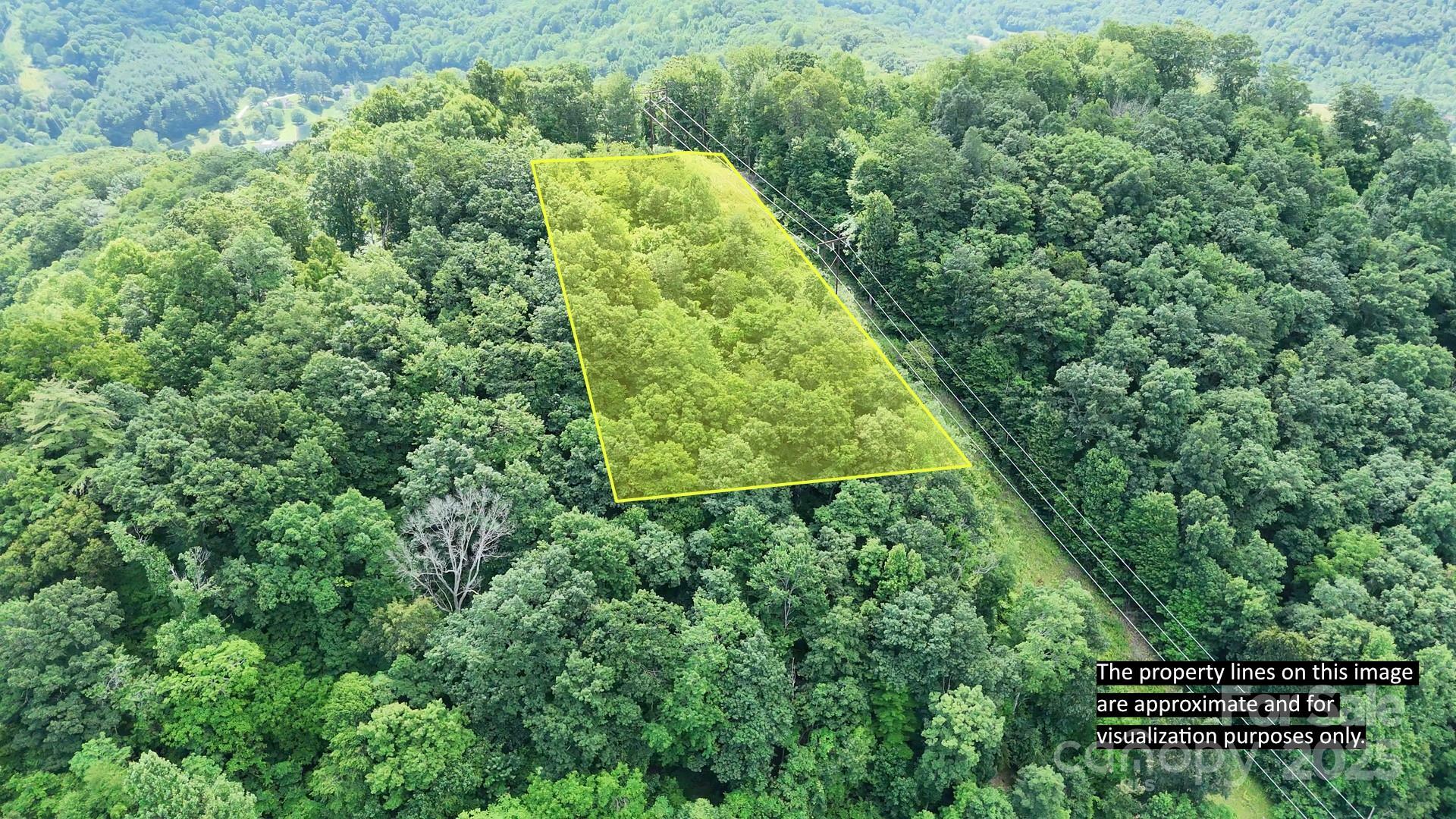 Property Photo:  00 Liner Cove Road 1  NC 28786 