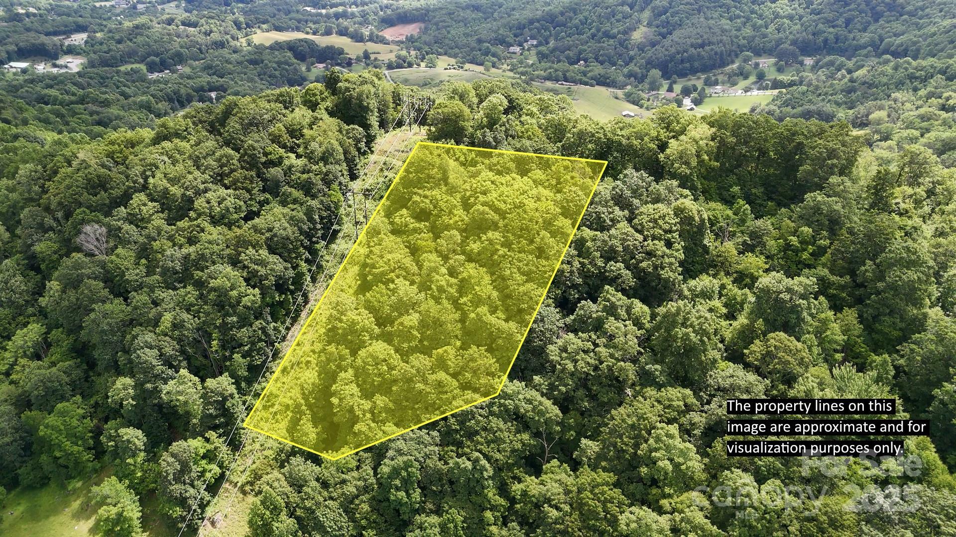 Property Photo:  00 Liner Cove Road 2  NC 28786 