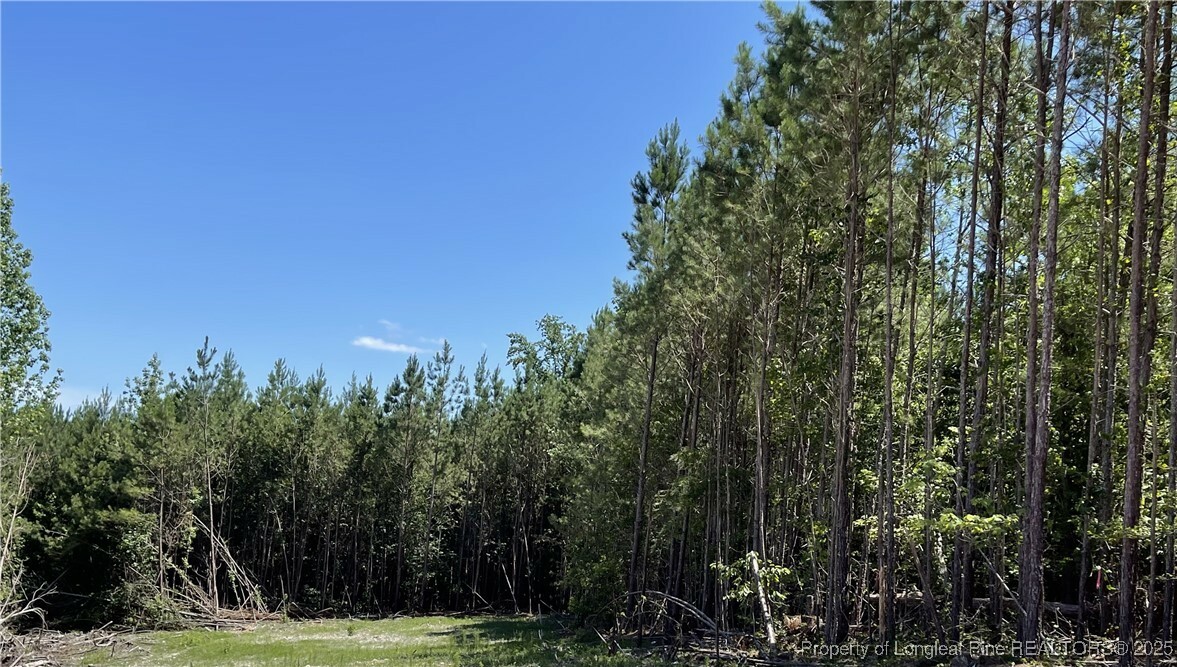 Property Photo:  0 Henschel Lane  NC 27505 