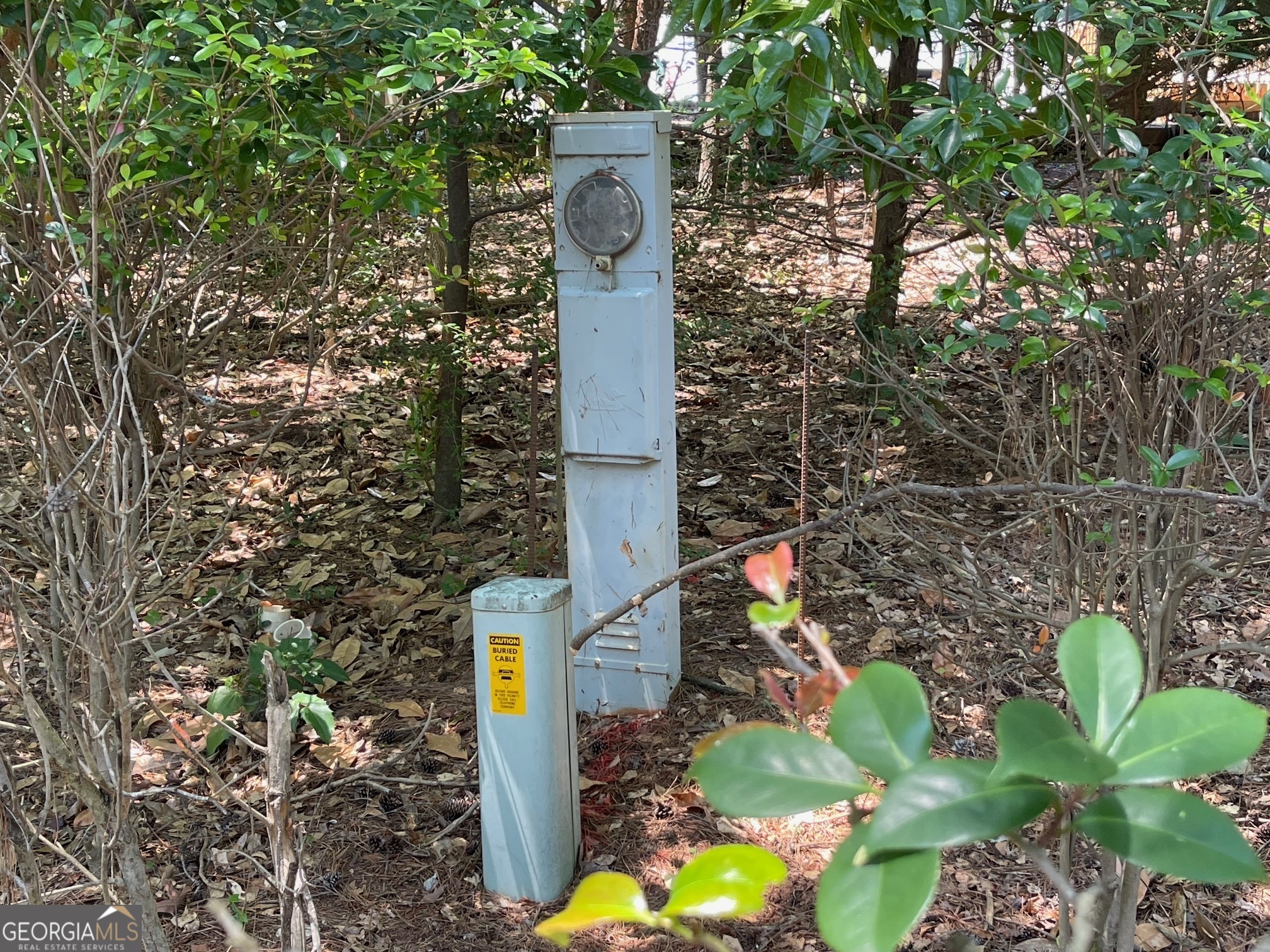 Property Photo: Lot 3 Big Water Circle GA 30643