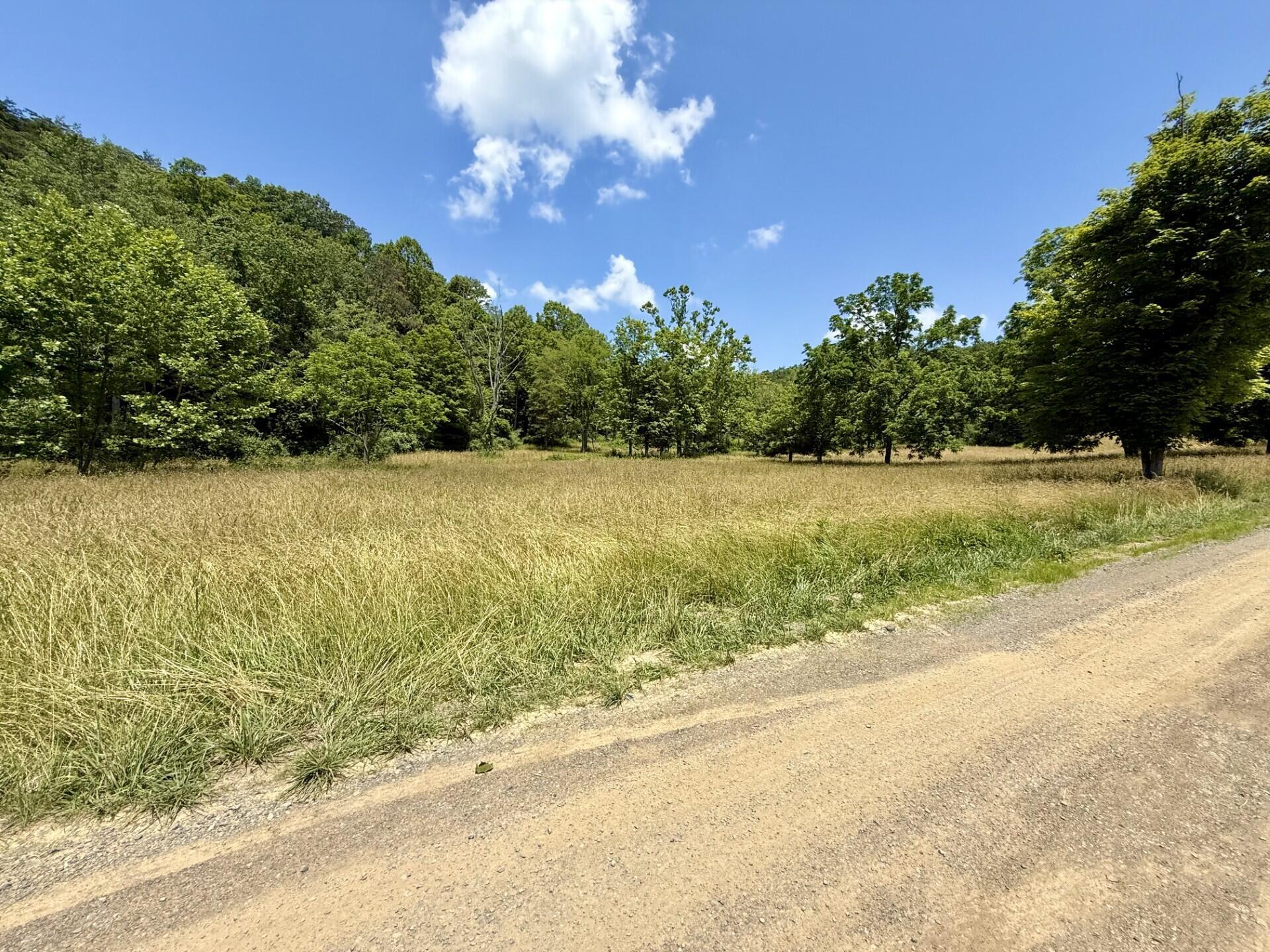 Property Photo: Lots 20&Amp21 Grandview Dr WV 24935