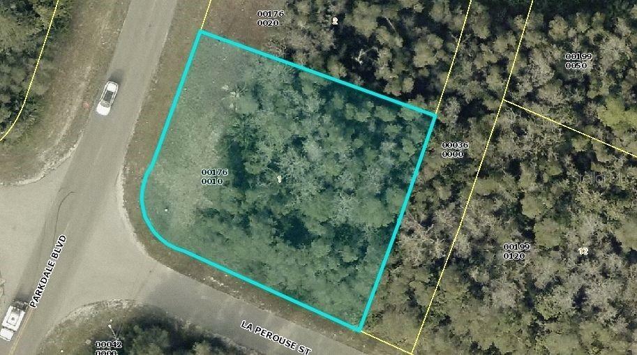 Property Photo: 318 Parkdale Boulevard FL 33974