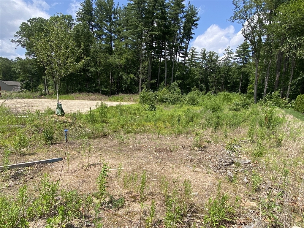 Property Photo: 11 Silvergrass Lane MA 01077