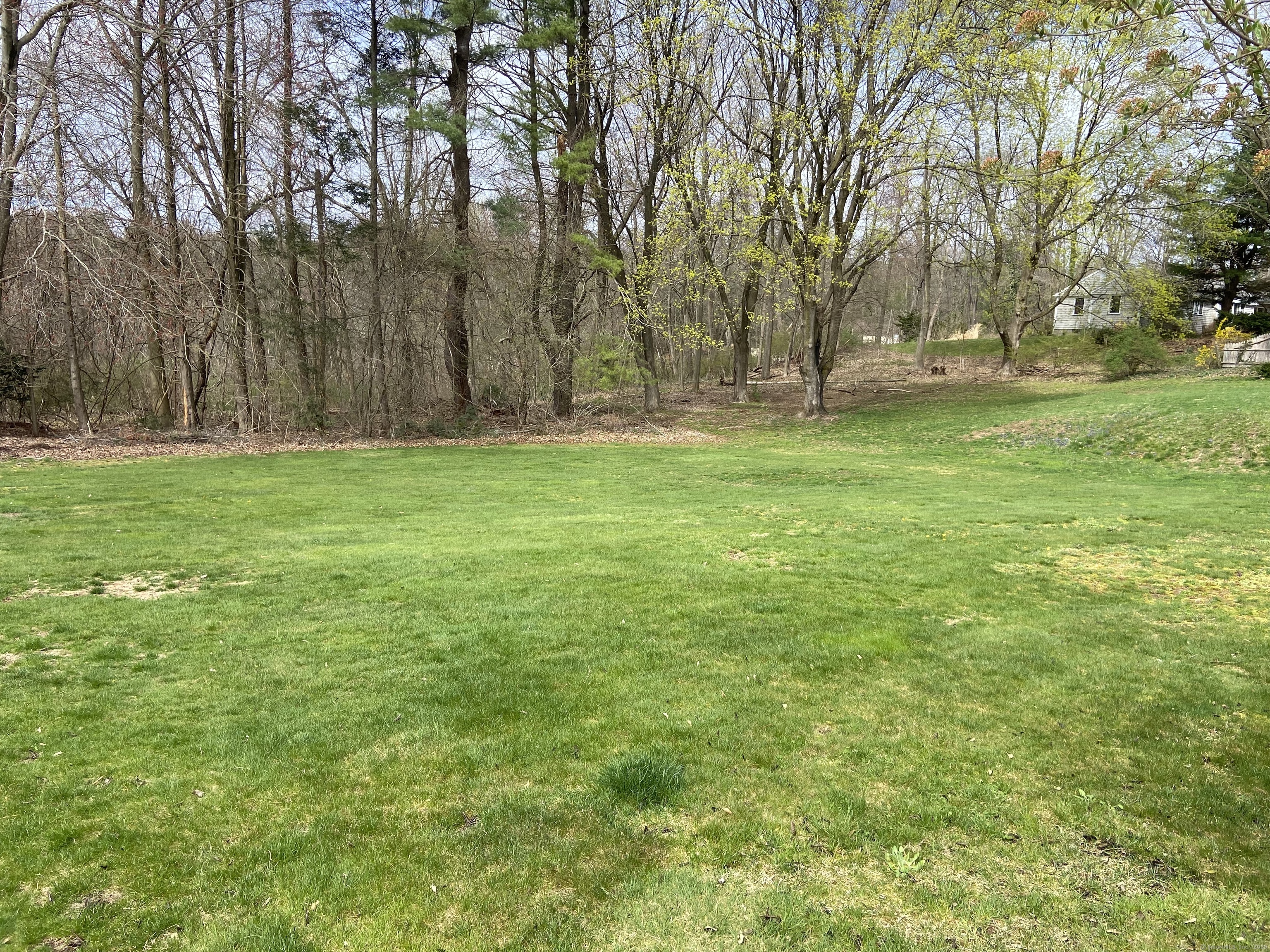 Property Photo: 41 Briarwood Road CT 06107