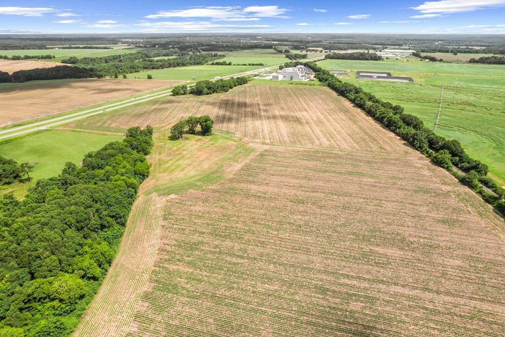 Property Photo: 74 Acres Hwy 431 AL 36345