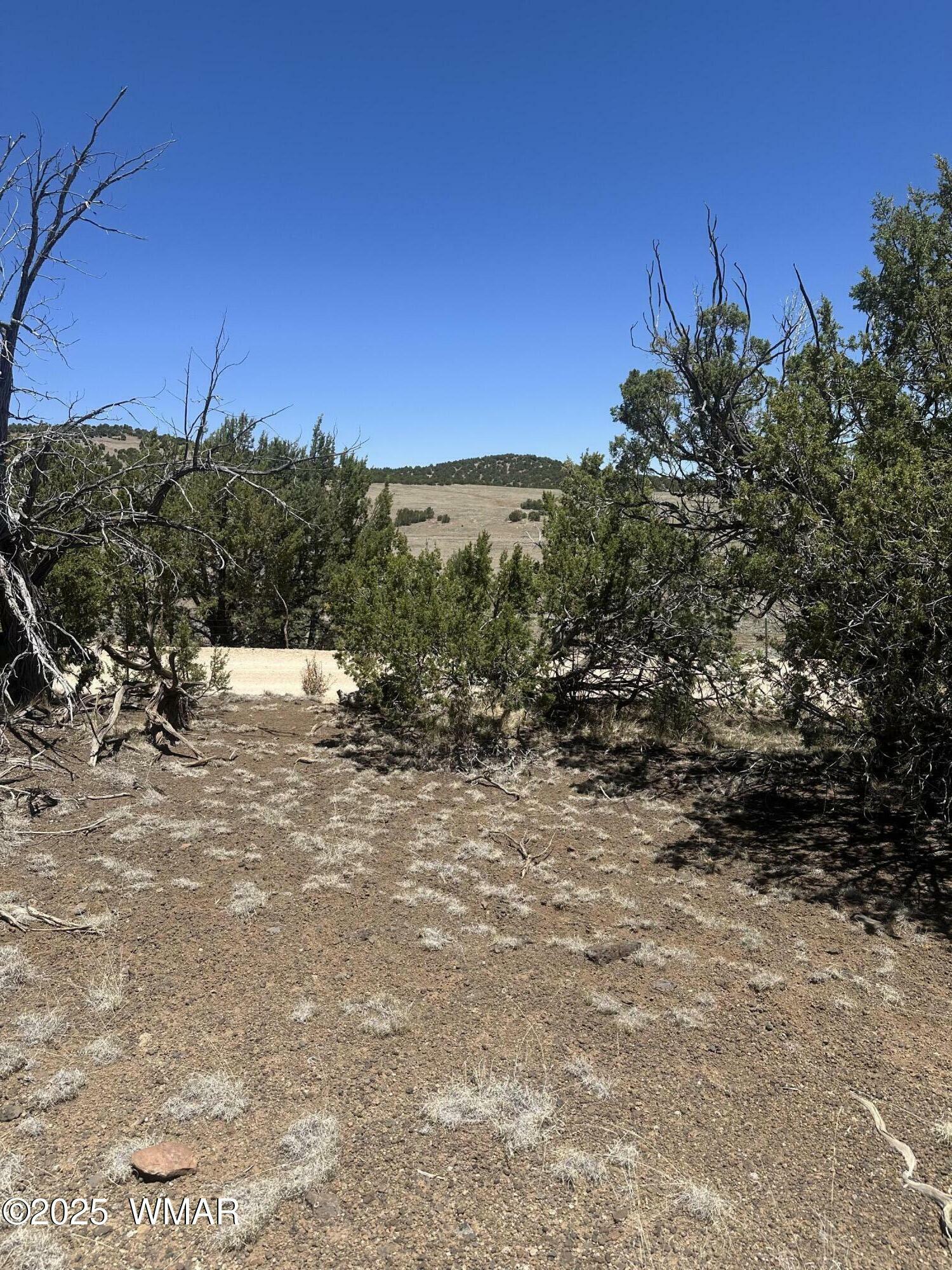 Property Photo:  3 County Road # 3195  AZ 85940 