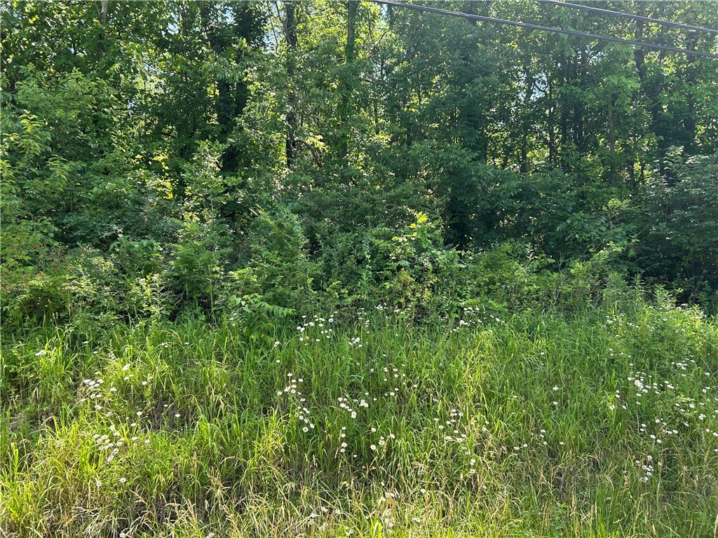 Property Photo: Lot 9 Hicklory Square Rd PA 15425