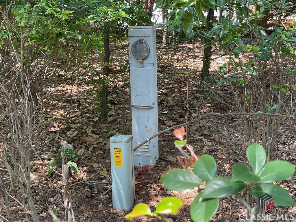 Property Photo: Lot 4 Big Water Circle GA 30643