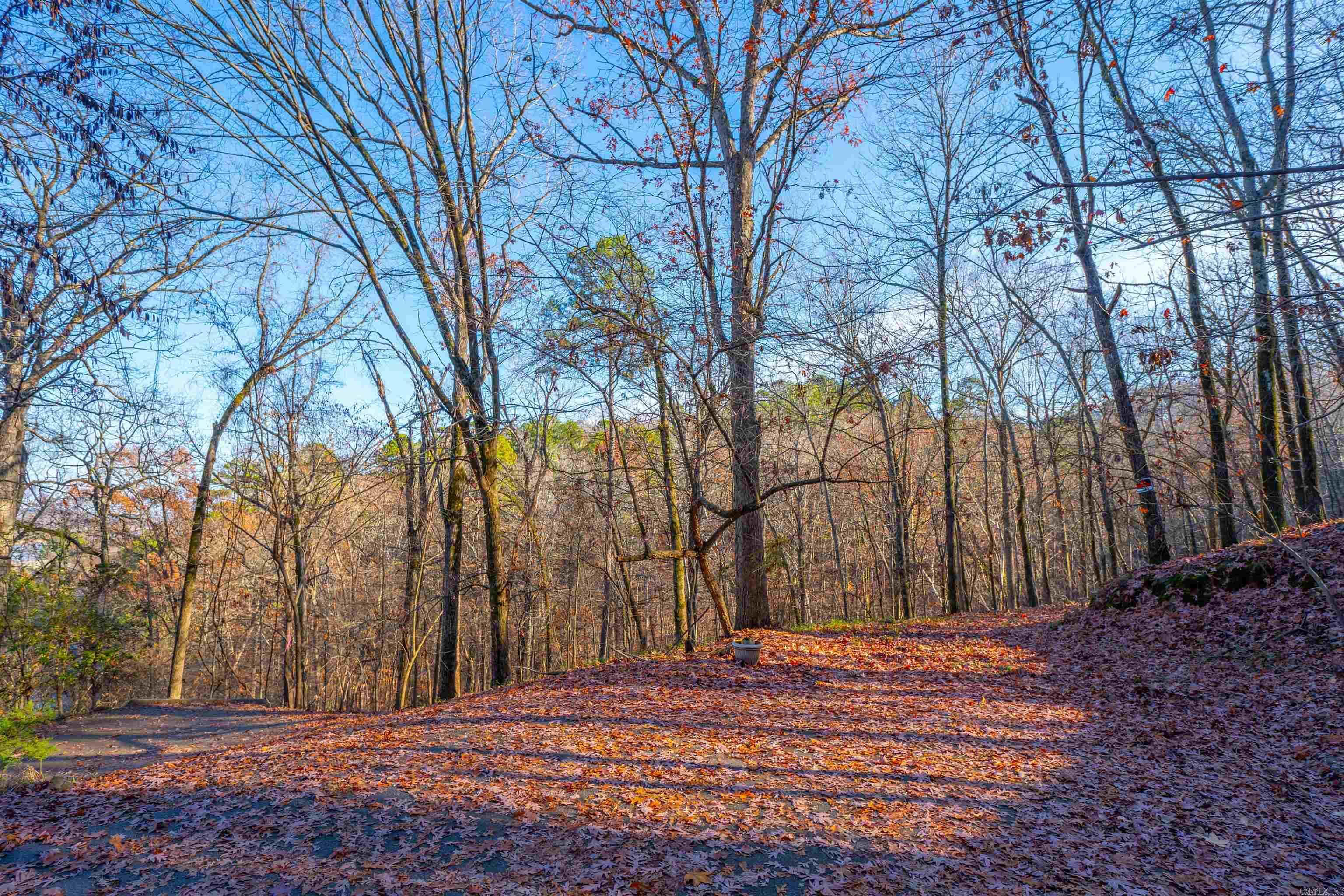 Property Photo: 10 Greathouse Bend AR 72207