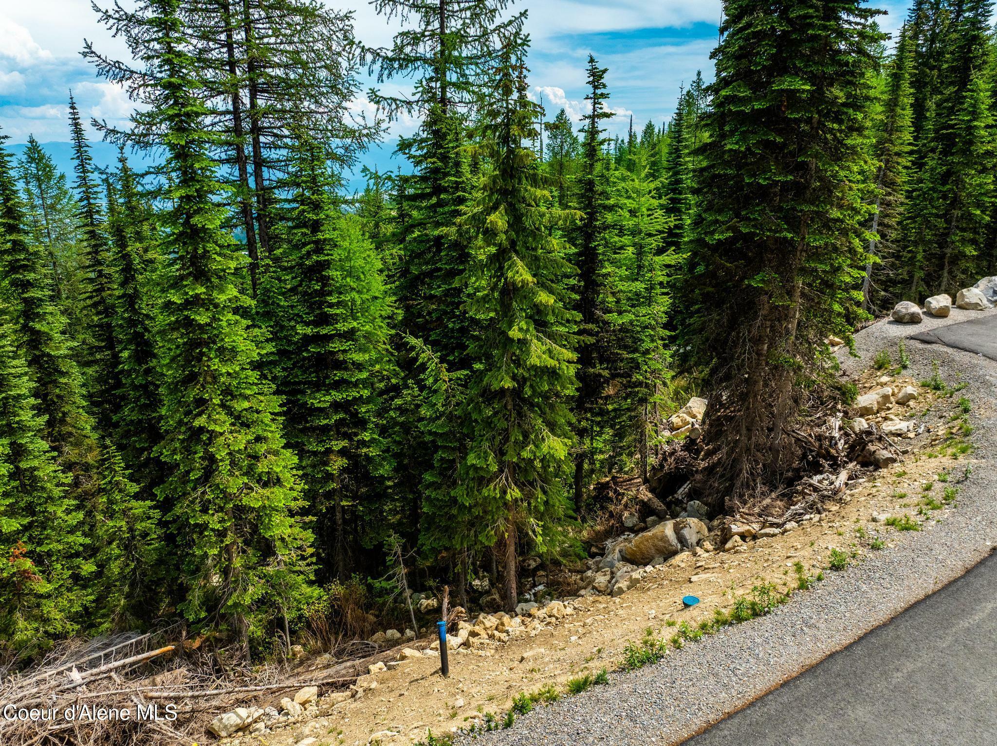 Property Photo:  Lt 6 Blk 2 Snag Line Road  ID 83864 