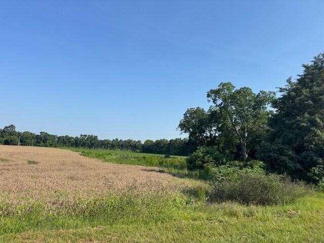 Property Photo:  1096 Buchanan Road  SC 29102 