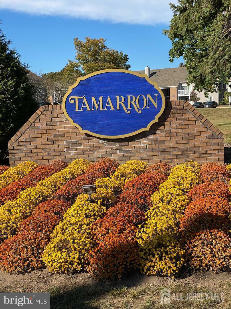 8407 8407 Tamarron Drive  Plainsboro NJ 08536 photo