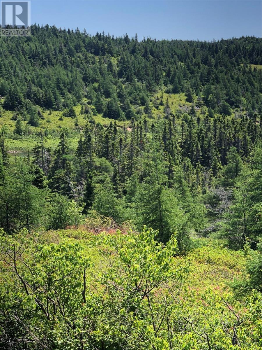 Property Photo:  0 Black Duck Pond Road  NL A0A 1W0 