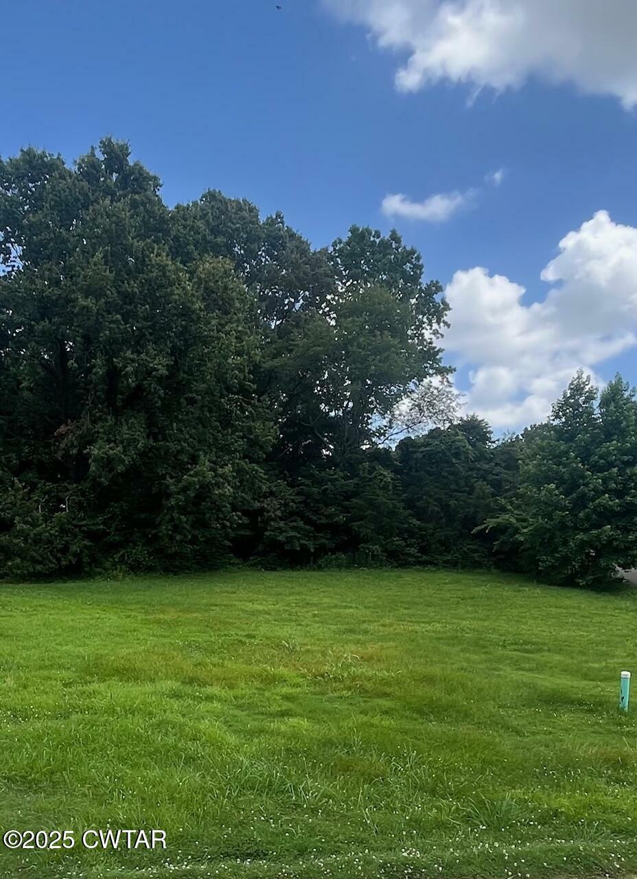 Property Photo: 341 Kelly Drive TN 38343