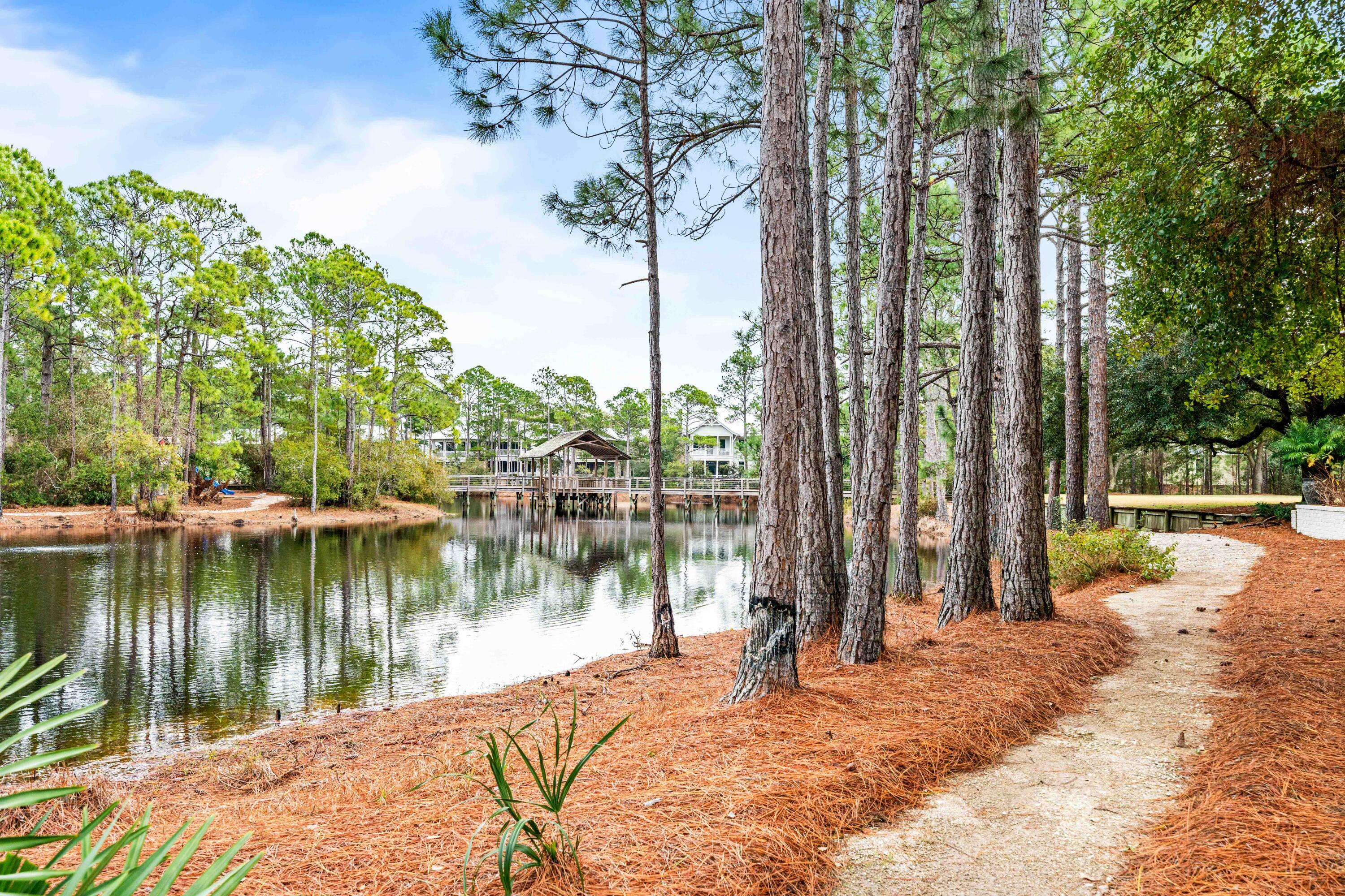 86 Lanier Lane  Santa Rosa Beach FL 32459 photo