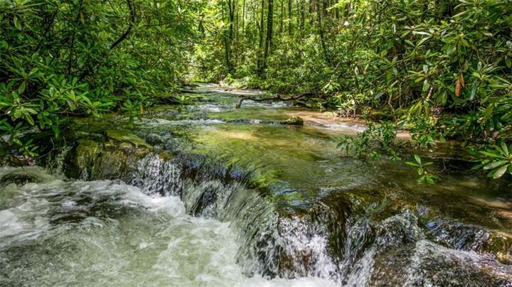 10323 Old Ccc Camp Road Road  Ellijay GA 30540 photo