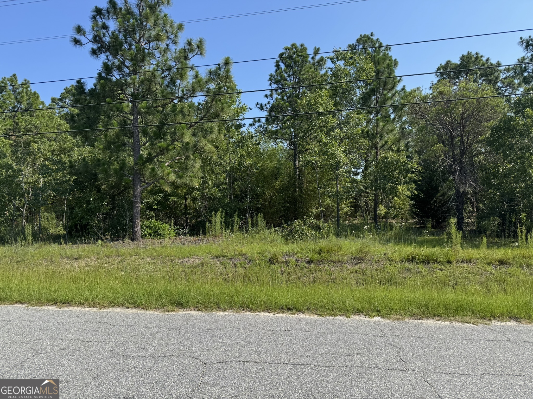 Property Photo: 5975 Gamble Road GA 31216