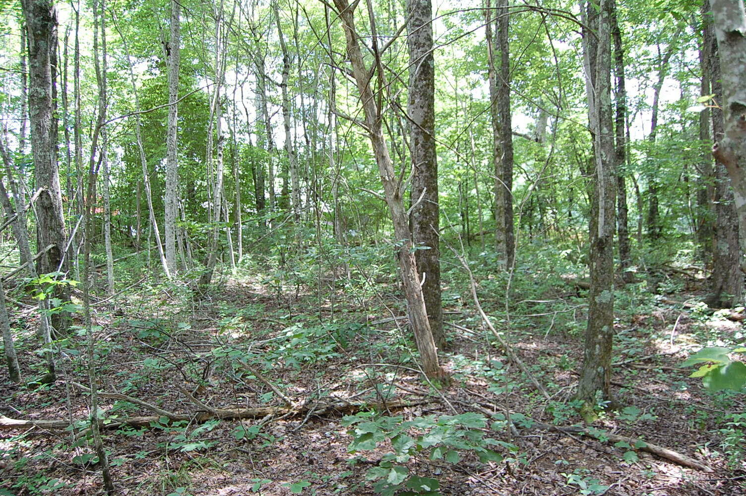 Property Photo: 10 Laural Brook Road TN 37327