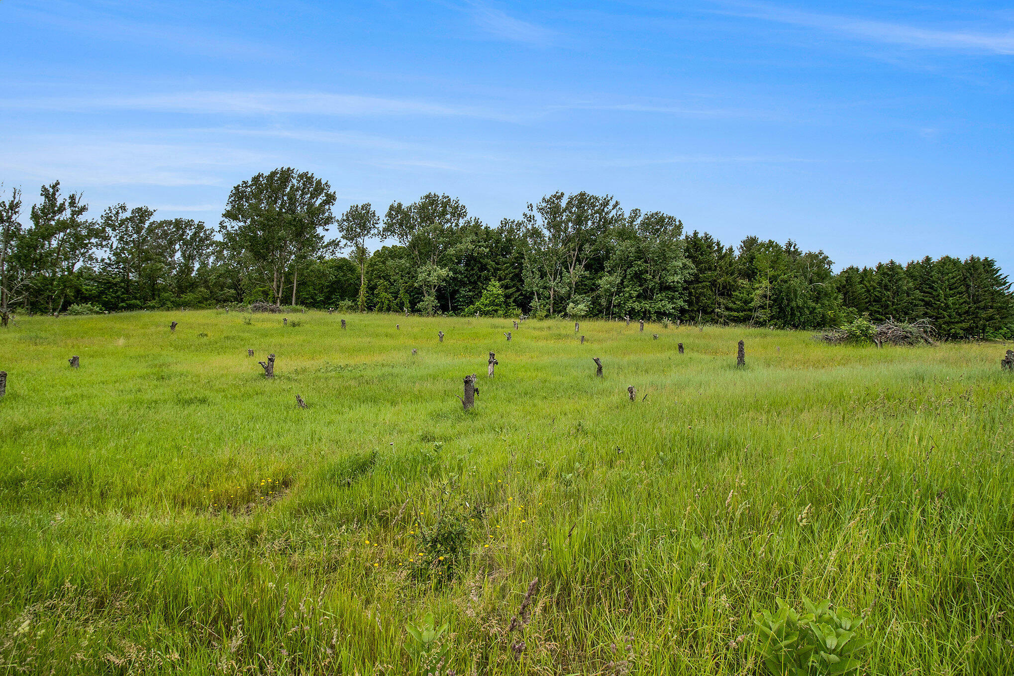 Property Photo: 6.24 Acres W Tyler Road MI 49436