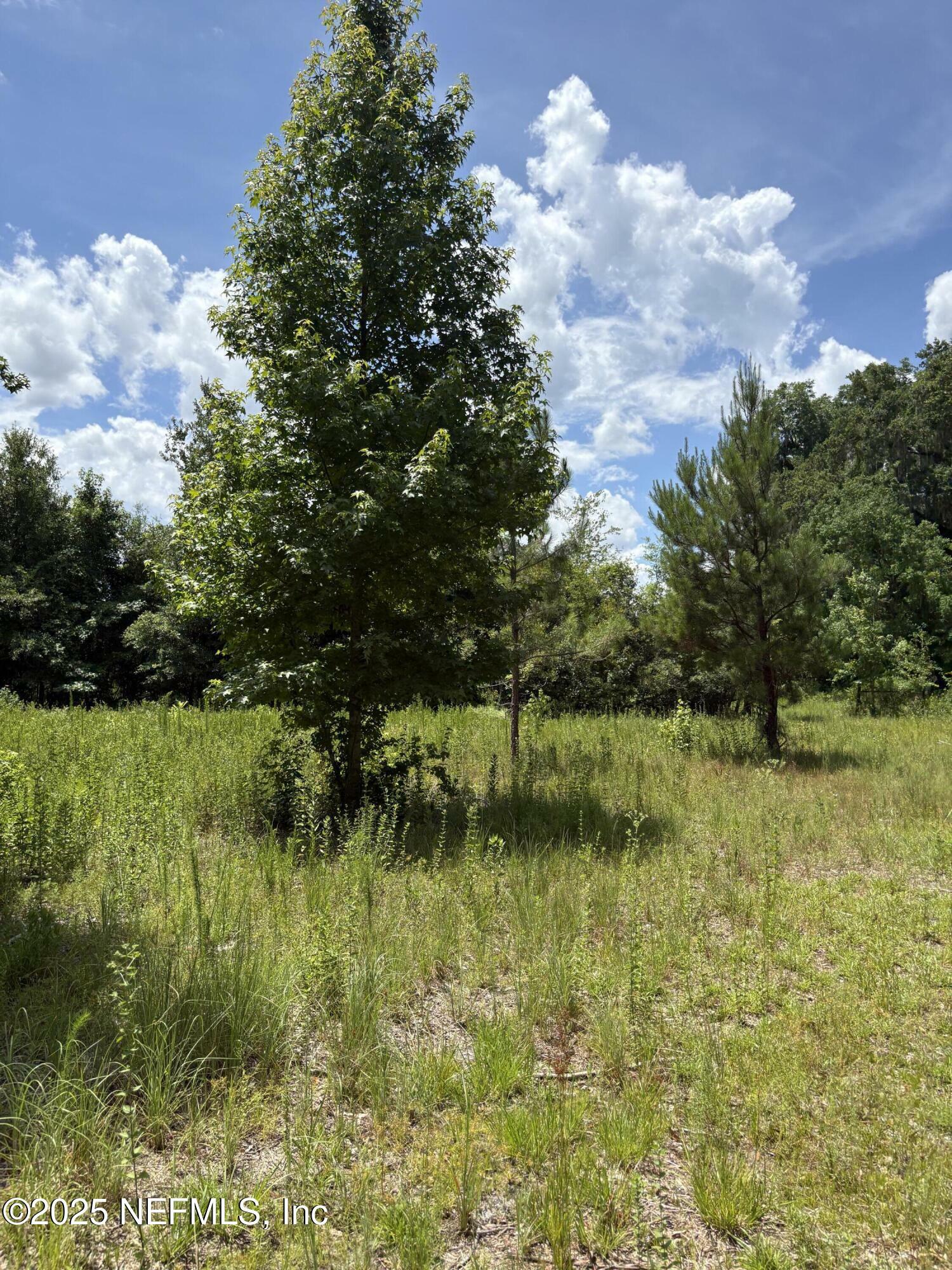 Property Photo:  22438 NW 44th Avenue  FL 32058 