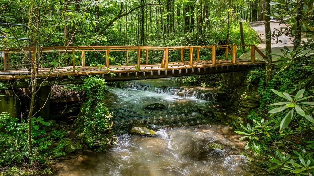 Property Photo:  10323 Grassy Mountain Road  GA 30540 