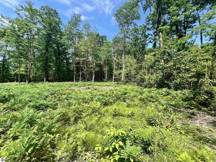 Property Photo: 8653 Lakeside Trail MI 48625