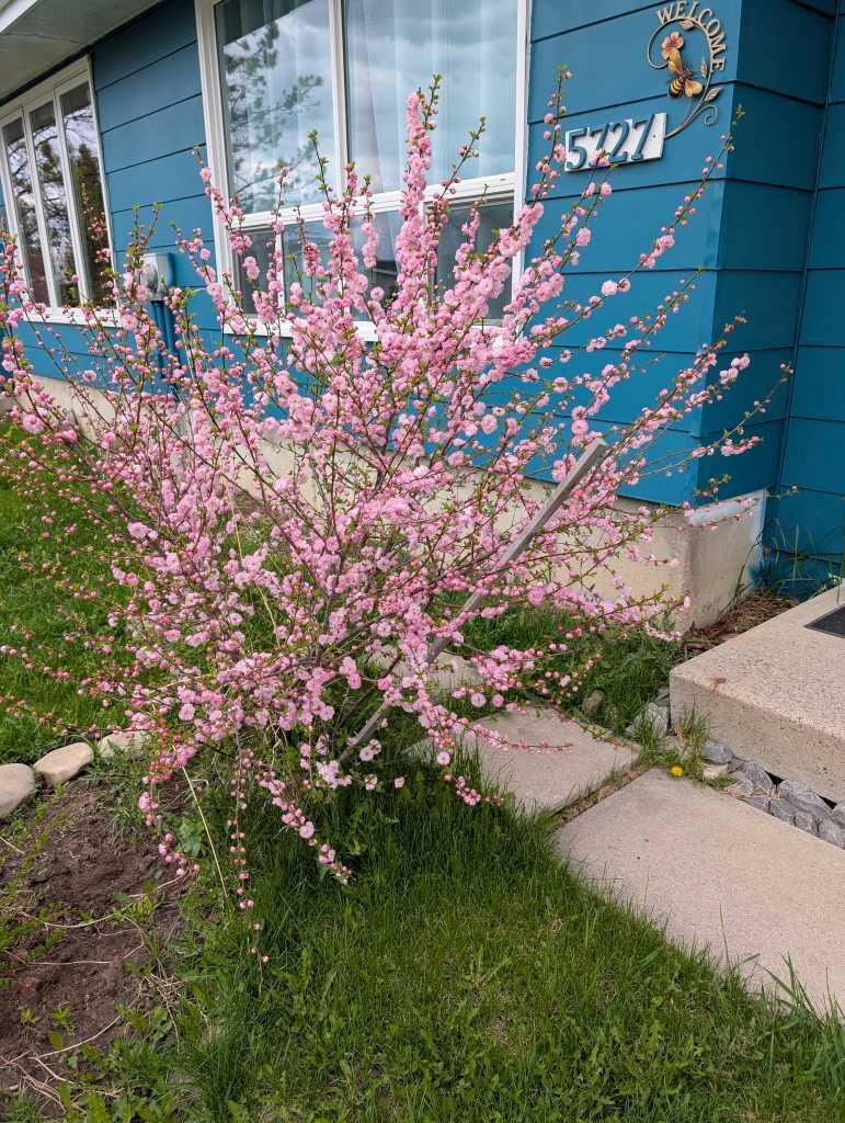 Property Photo: 5727 56 Street AB T4T 1J8