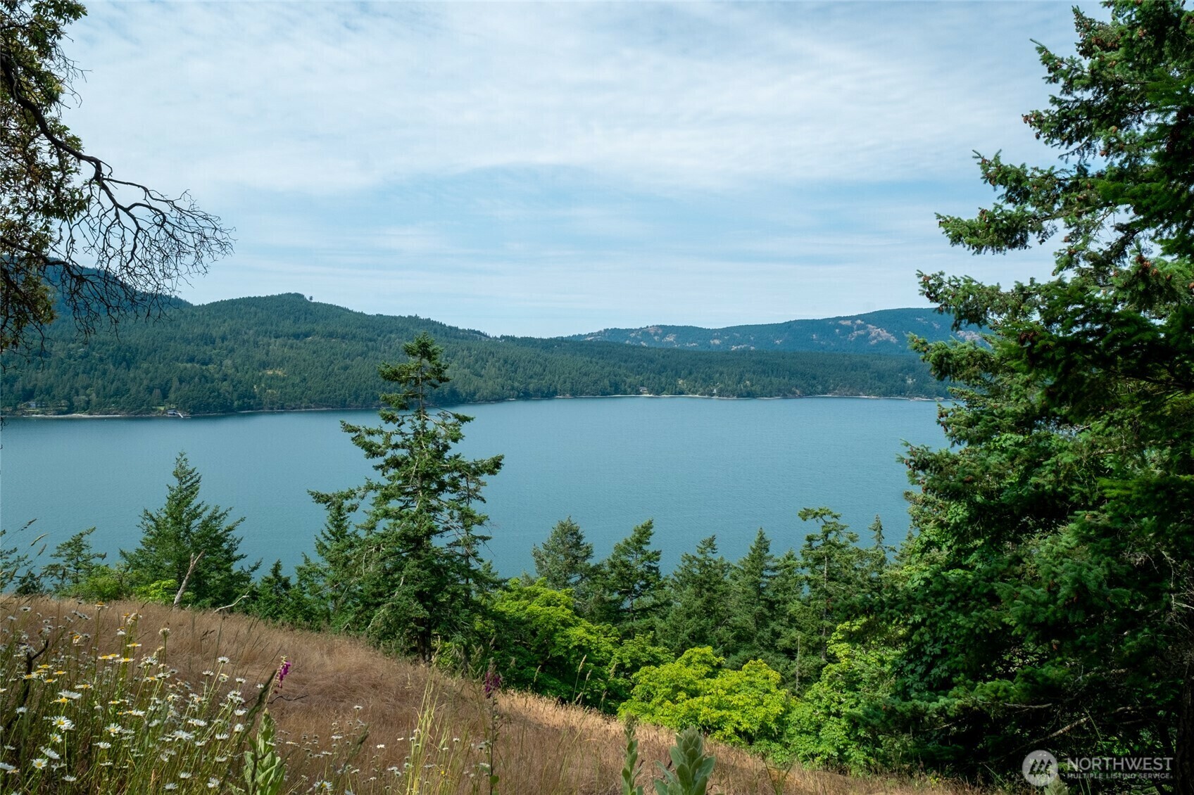 245  Veneda Trail  Orcas Island WA 98245 photo
